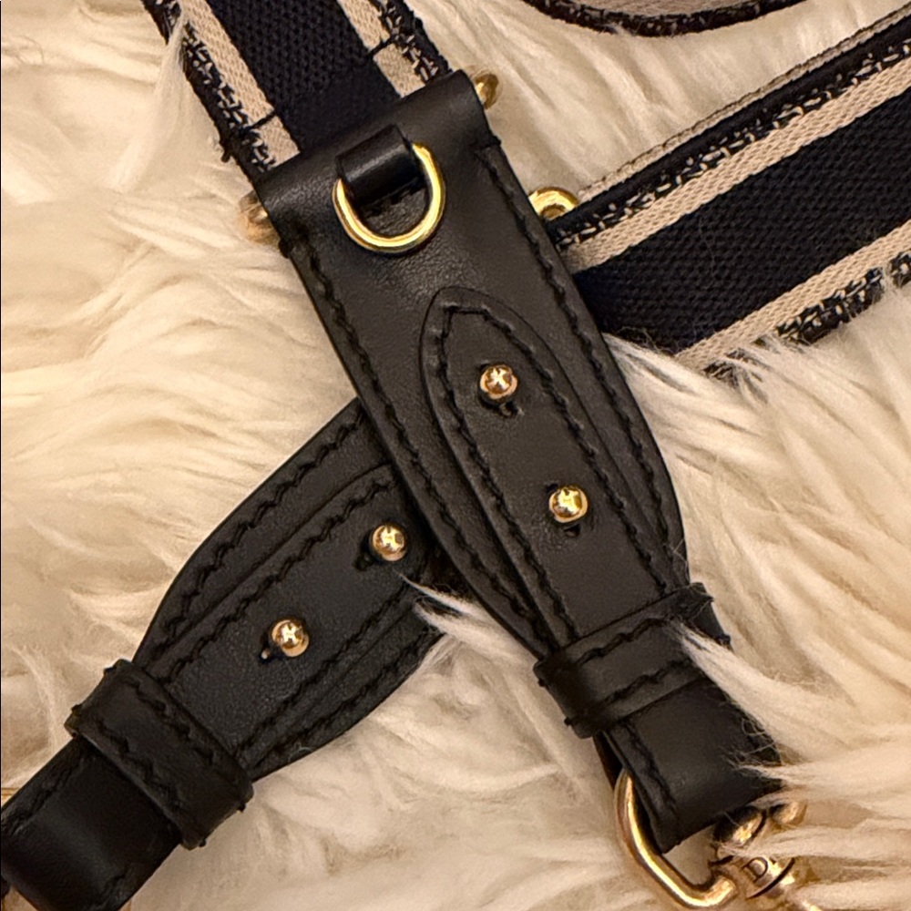Authentic Dior Adjustable Strap - image 2